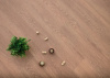 LVT Плитка Eco Click Wood 4.2/34 4V NOX-1614 Дуб Арагон 1212x185