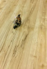 Ламинат Mostflooring High Glossy 11909 33 класс 12 мм